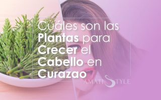 Cuáles son las plantas para crecer el cabello en Curazao